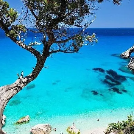 Bed and Breakfast Filo D'oro *