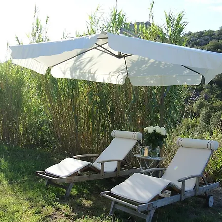 Filo D'oro * ארזח'ינה