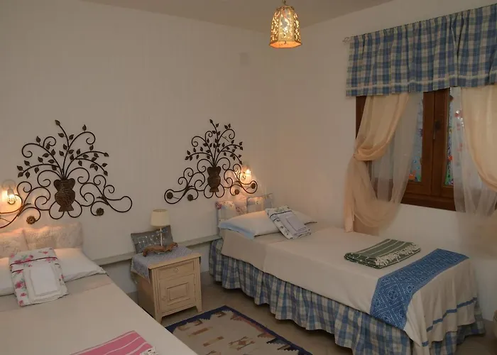 Filo D'oro * Arzachena