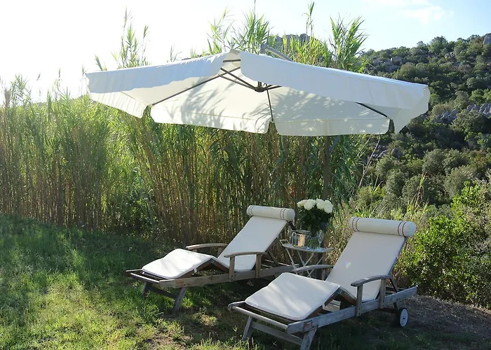 Filo D'oro * Arzachena